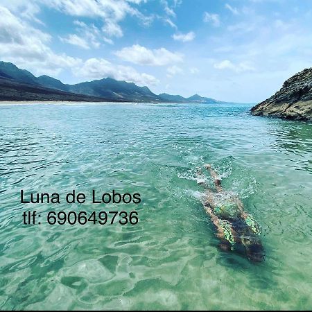 Luna De Lobos Corralejo Extérieur photo