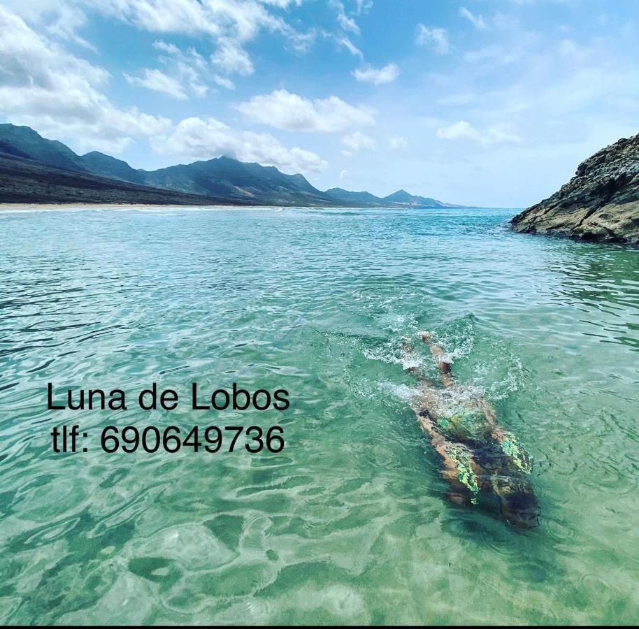 Luna De Lobos Corralejo Extérieur photo